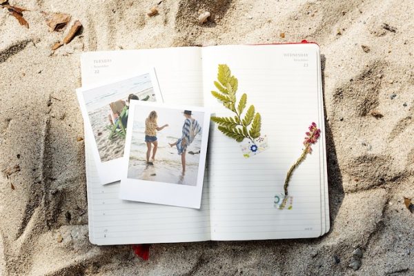 Im Sand liegt ein Notizbuch, in dem Fotos und gepresste Pflanzen liegen. Erinnerungen aufbewahren.