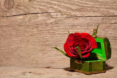 In einer Schatztruhe steckt eine rote Rose. Werte bei der Ordnungsarbeit.