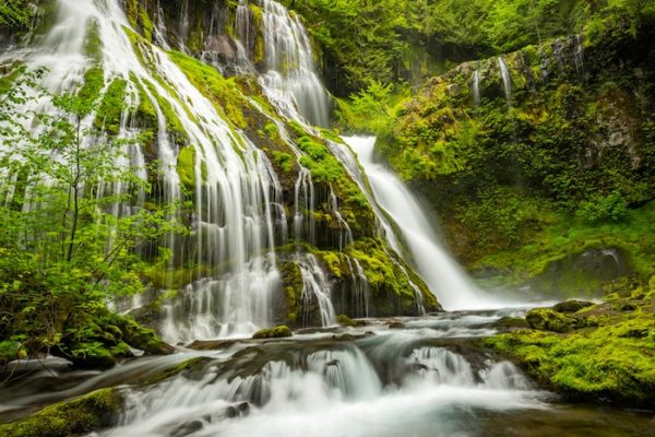 Wasser fließt einen Wasserfall hinab, eingebettet in grüne Bäume.